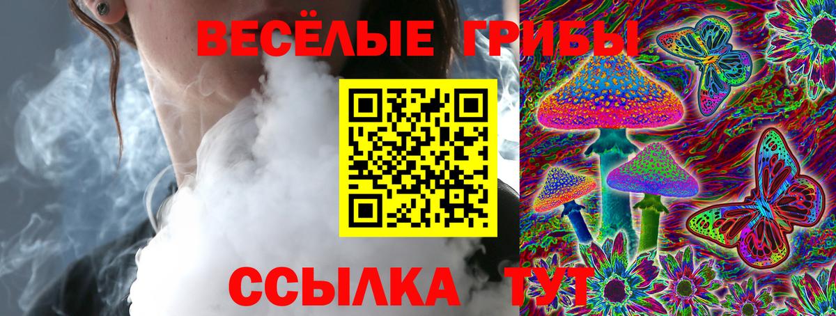 Псилоцибиновые грибы Psilocybe Всеволожск