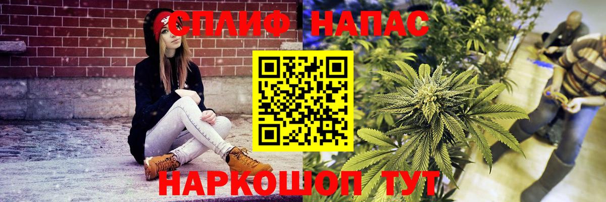 МАРИХУАНА сатива Всеволожск